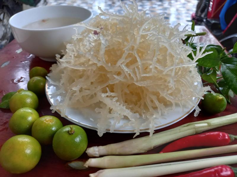 Rong sụn
