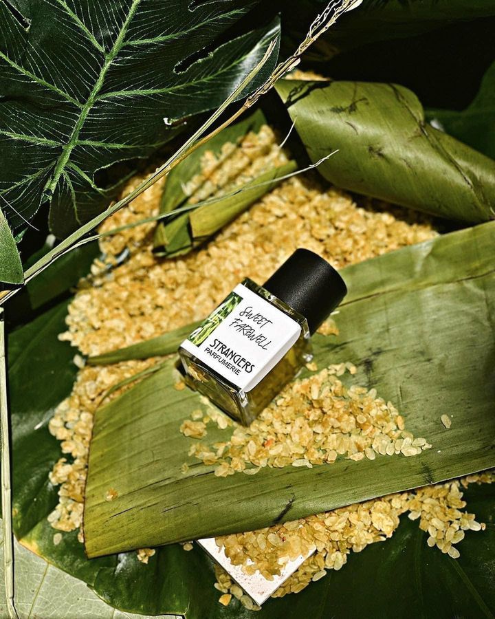 Rosa Perfume