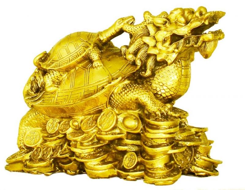Rùa đầu rồng