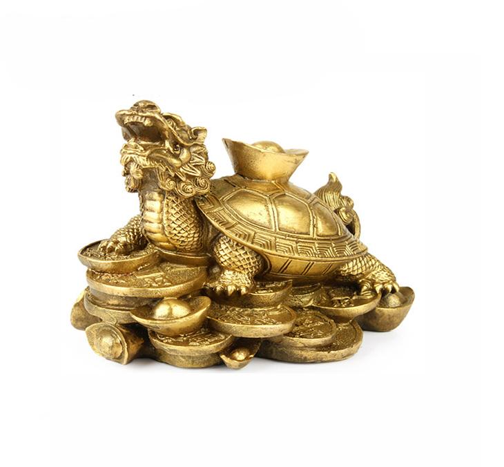 Rùa đầu rồng