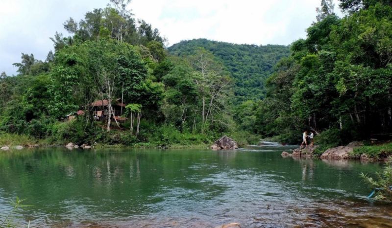 Rừng nguyên sinh Khe Gỗ
