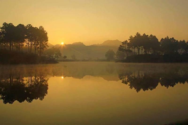 Rừng thông Bản Áng