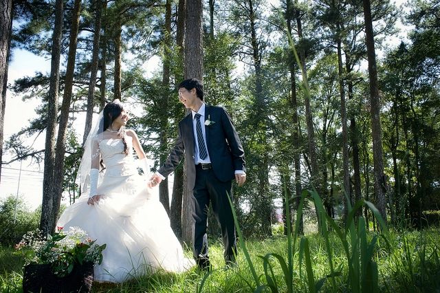 Rừng thông Bản Áng mang vẻ đẹp bí ẩn vào mỗi sáng sớm
