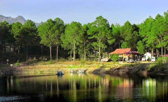 Rừng thông Bản Áng