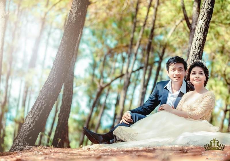 Rừng thông Bồ Bồ