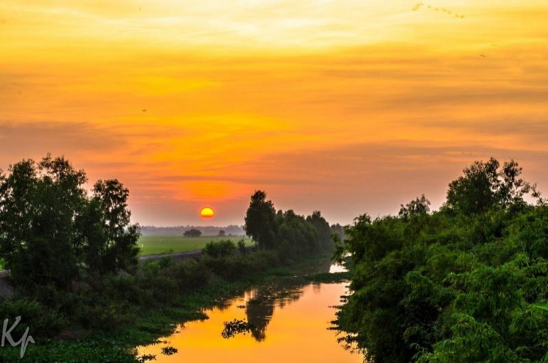 Rừng tràm Trà Sư
