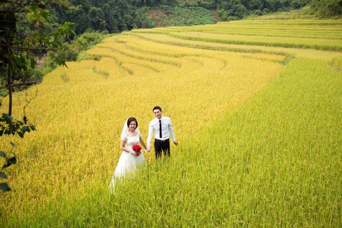 Bộ ảnh cưới đầy lãng mạng của cặp đôi bên những thửa ruộng bậc thang vàng óng