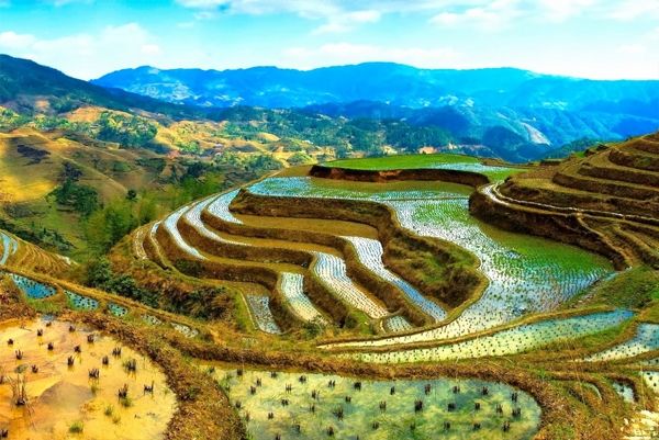 Ruộng bậc thang Bananue tuyệt đẹp vào mùa nước đổ