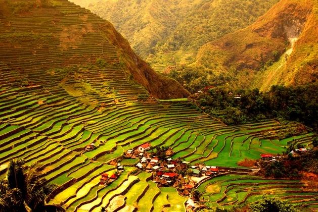 Ruộng bậc thang Bananue được mệnh danh là 
