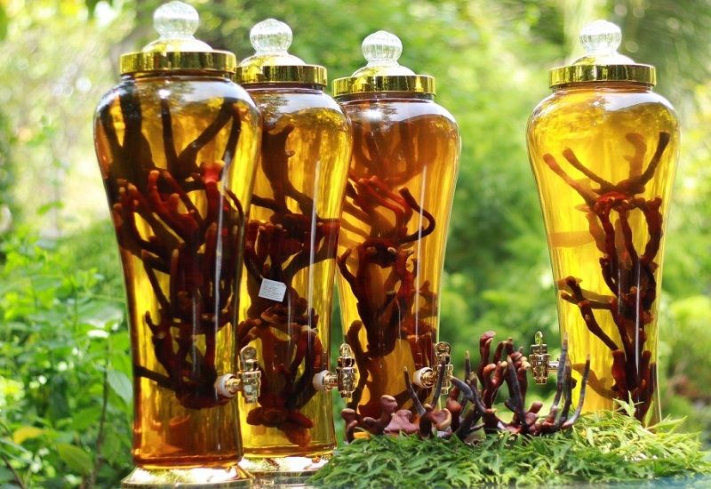 Rượu nhung hươu rất tốt cho sức khỏe