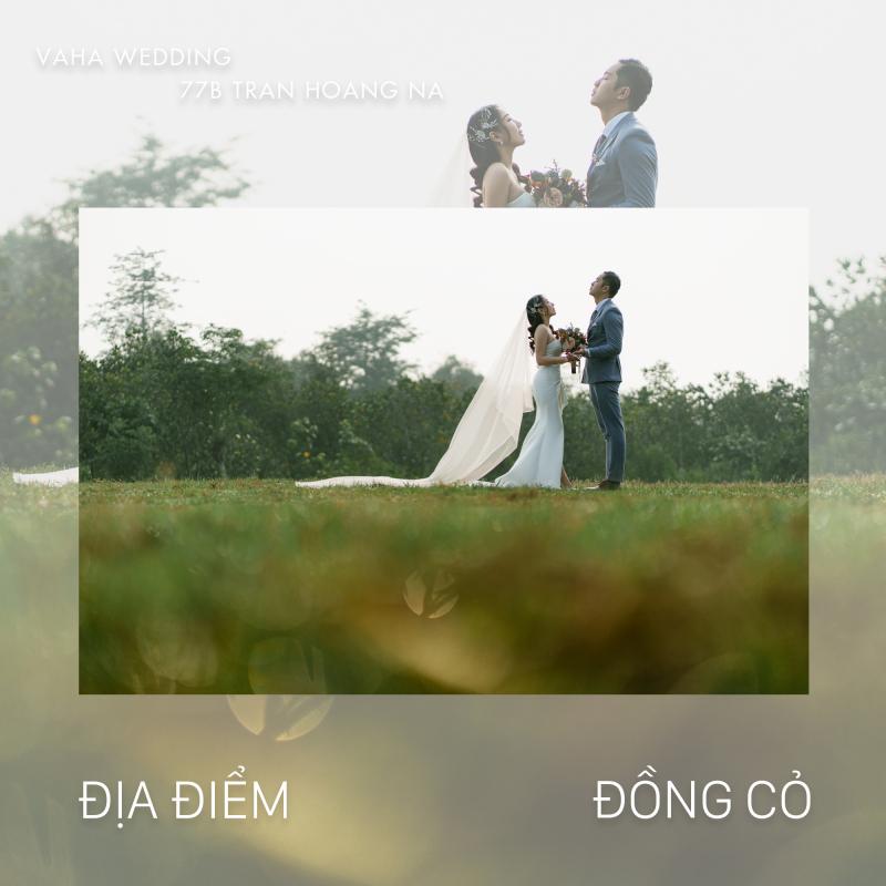 VaHa Wedding