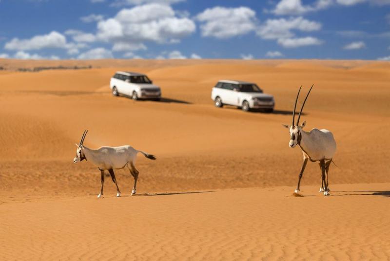 Sa mạc Dubai