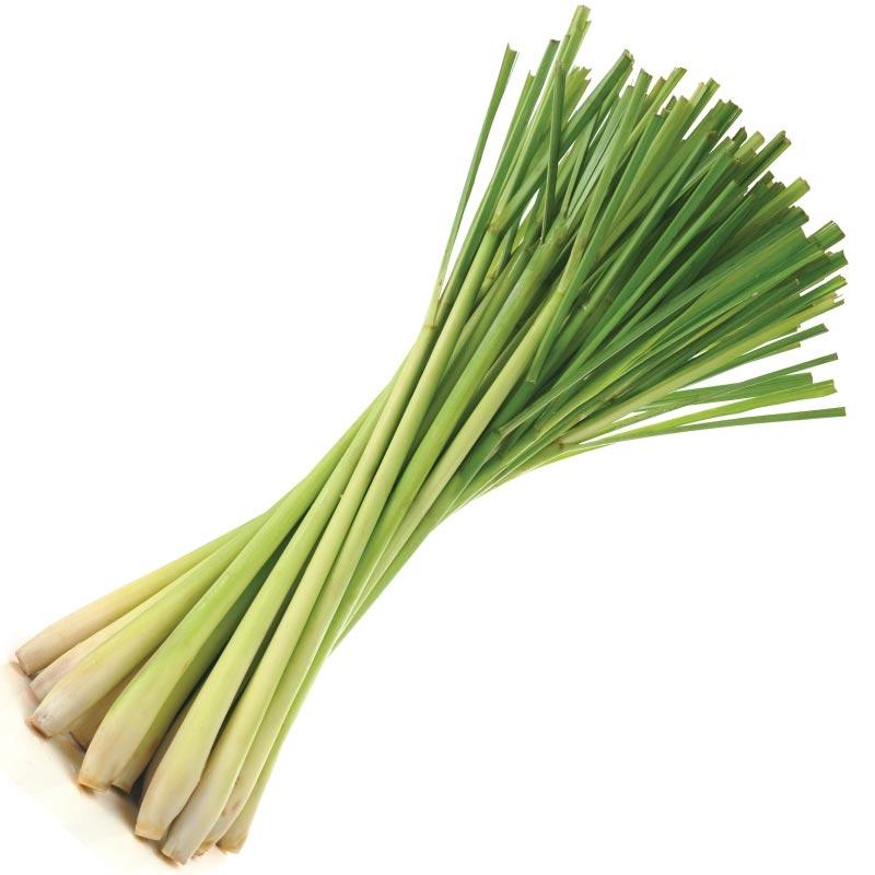Sả