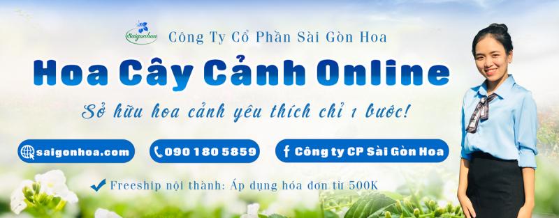 Sài Gòn Hoa