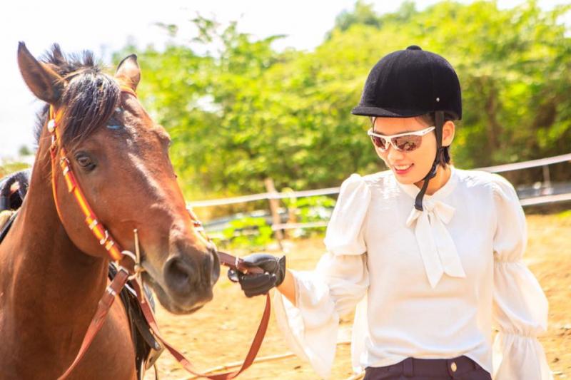 Saigon Farm Horse