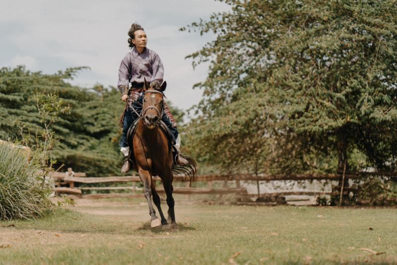Saigon Farm Horse