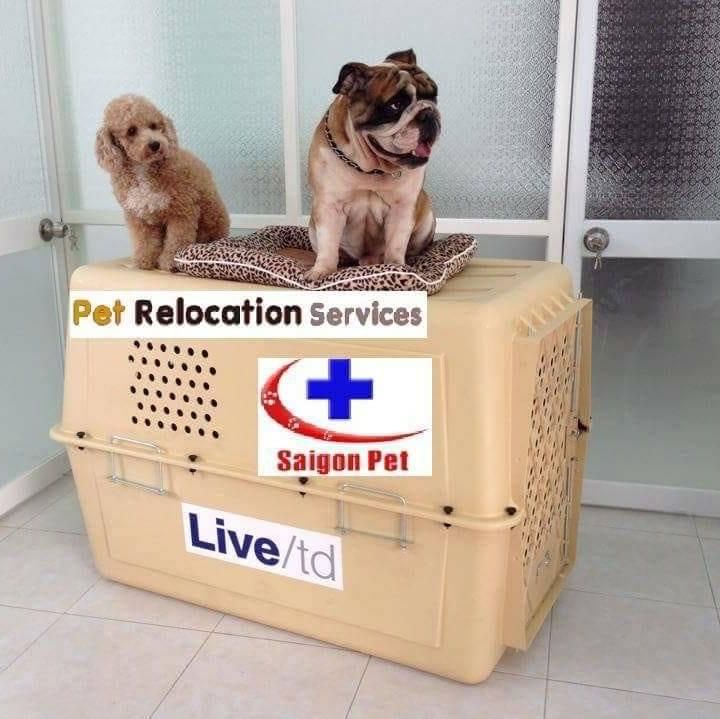 Saigon Pet Veterinary Hospital