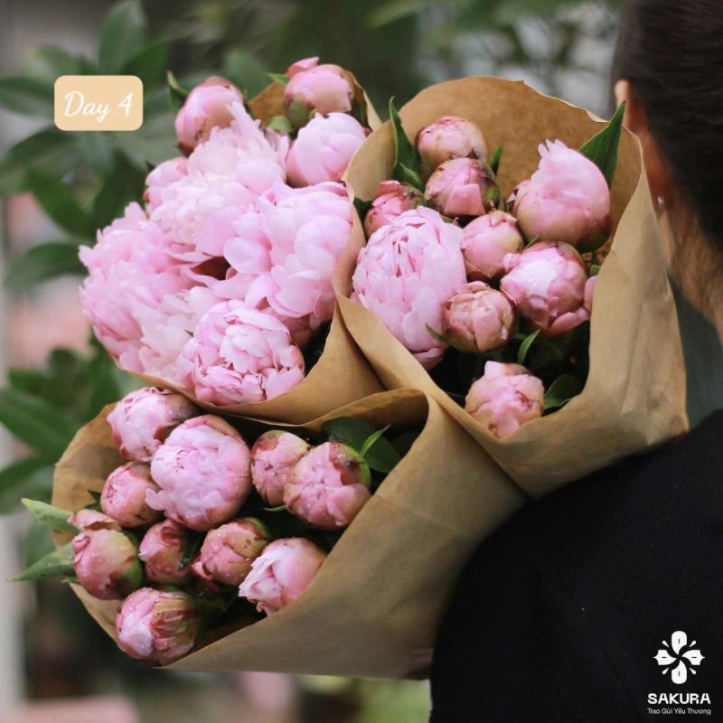 Sakura Flower