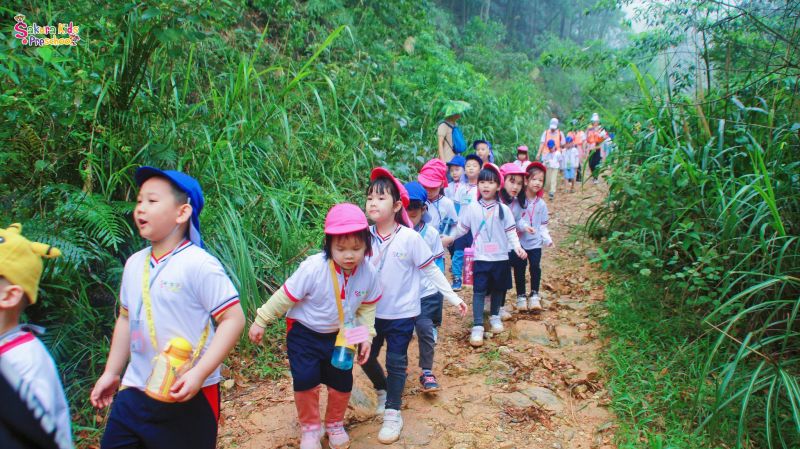 Sakura Kids Preschool