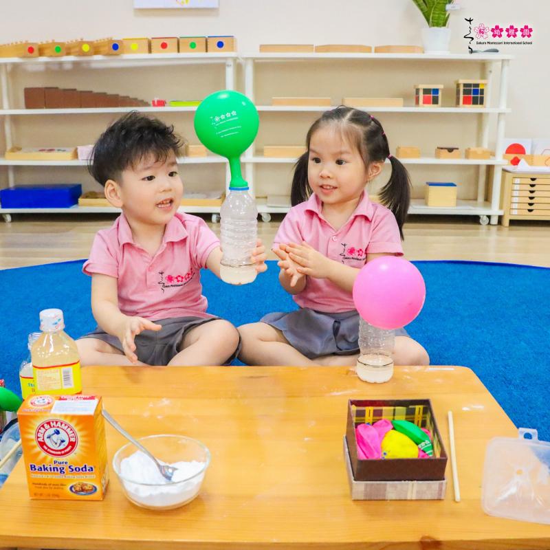 Trường mầm non Sakura Montessori