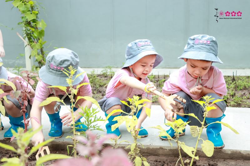Trường mầm non quốc tế Sakura montessori