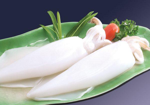 Mực tươi