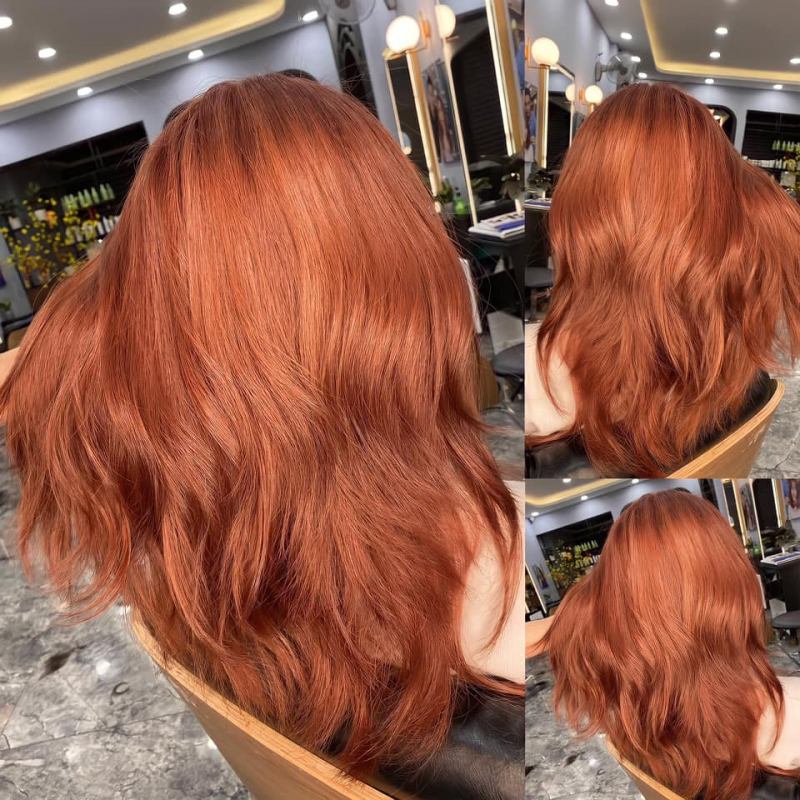 Salon Bắc Trần Tiến
