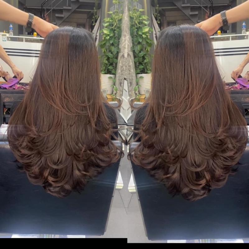 Salon Cây Kéo Vàng