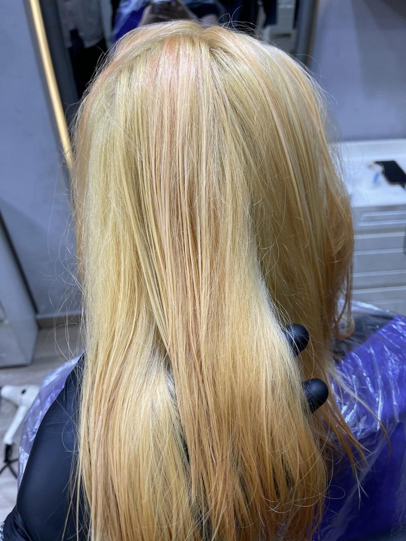 Salon Hùng
