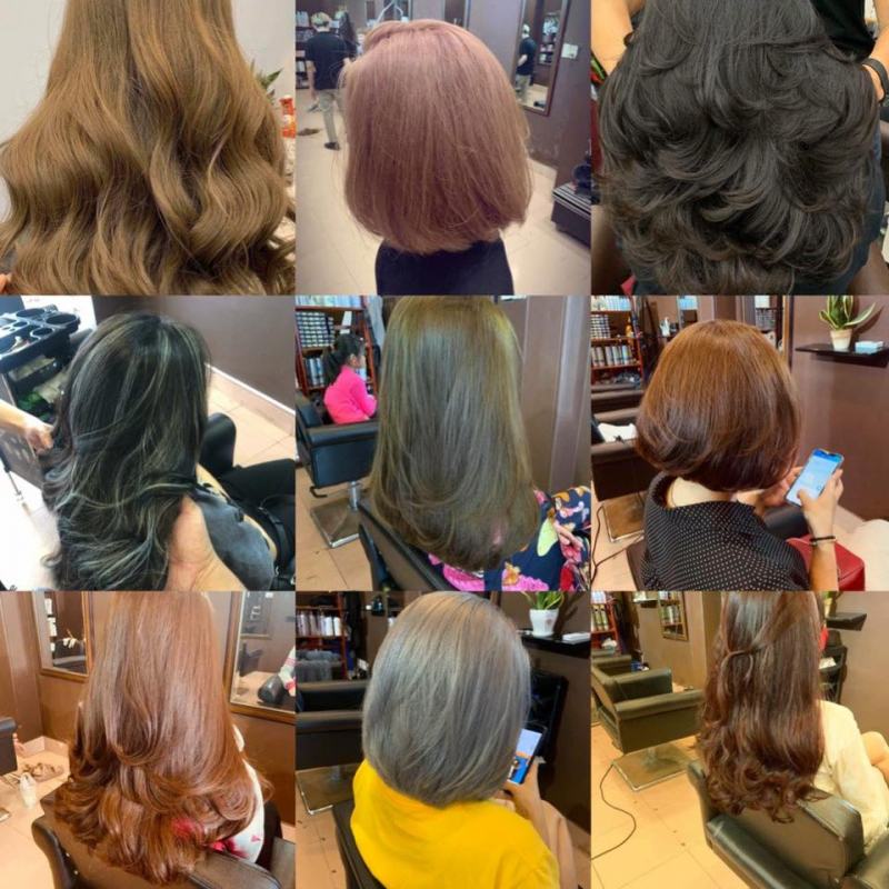 SaLon Louis Nguyễn