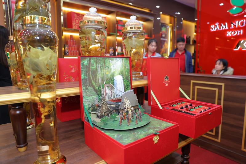 Sâm Ngọc Linh Kon Tum