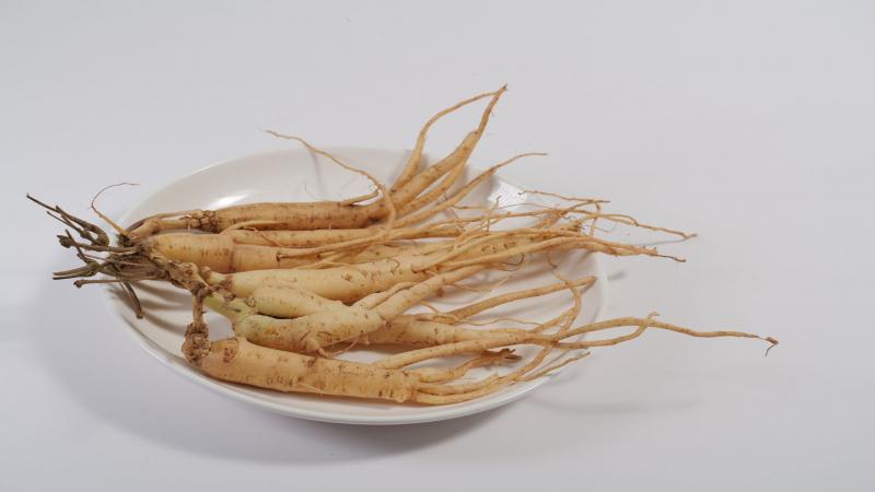 Sâm Ngọc Linh Tumơrông Kon Tum