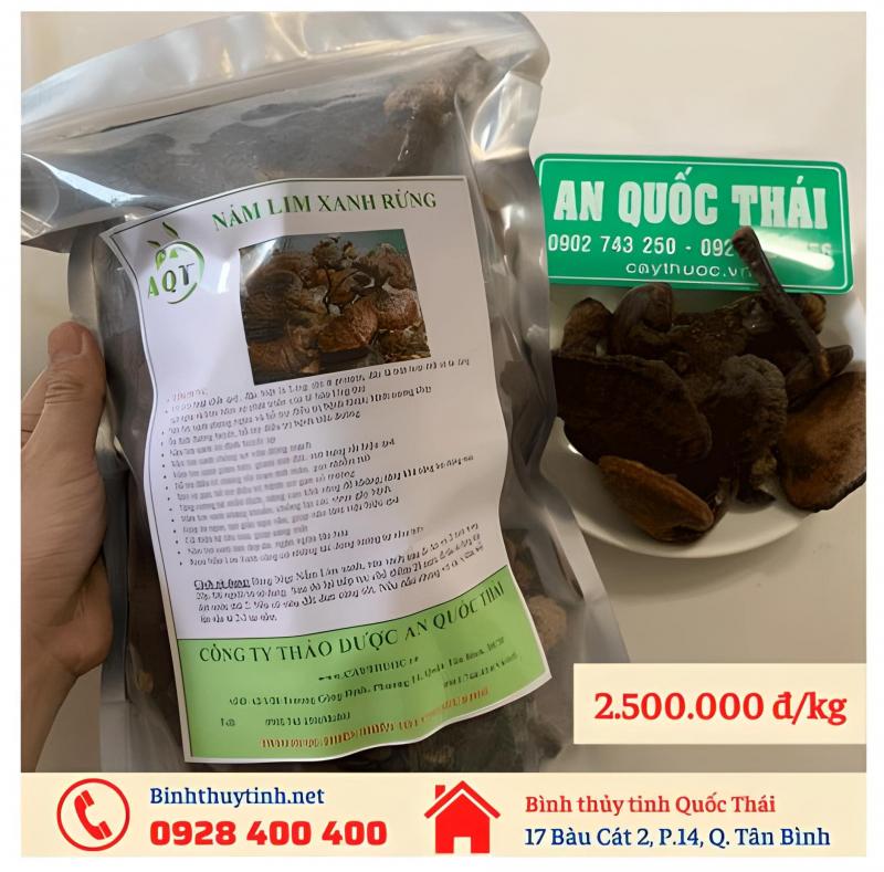 Sâm yến Quốc Thái