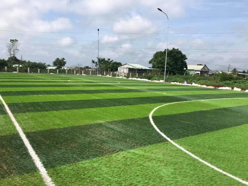 Sân Bóng Nhân Tạo Cây Thị