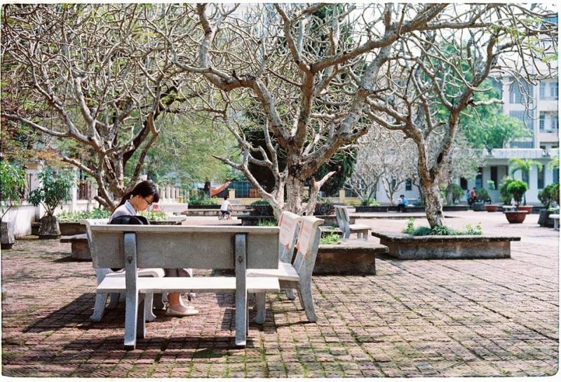Những cành cây khẳng khiu mang một vẻ đẹp rất riêng, mạnh mẽ, kiêu hãnh vô cùng! (Ảnh Fb Ulis Photography)
