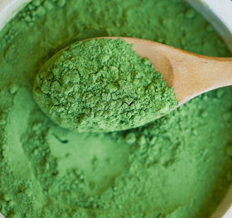 Tảo Spirulina