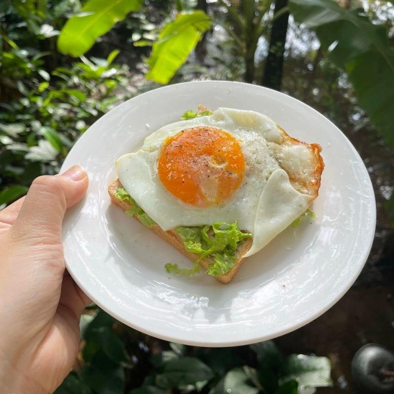 Sandwich trứng
