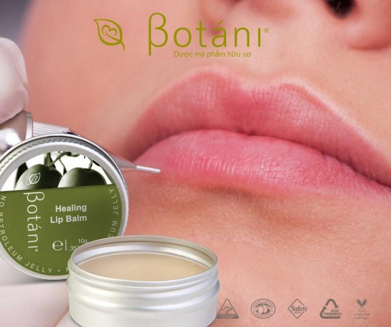 Sáp dưỡng môi Olive – Healing Lip Balm