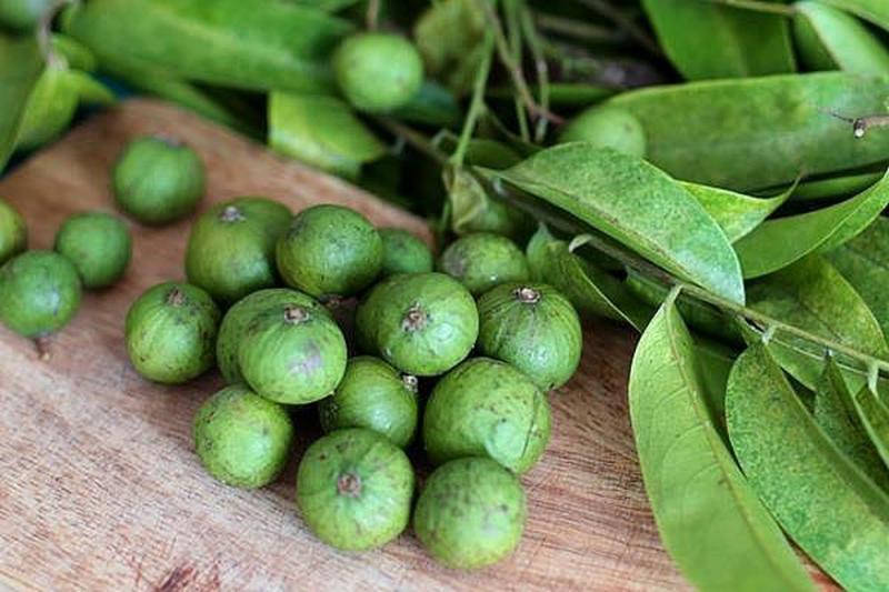 Sấu là món ăn khá thân thuộc với người dân thủ đô