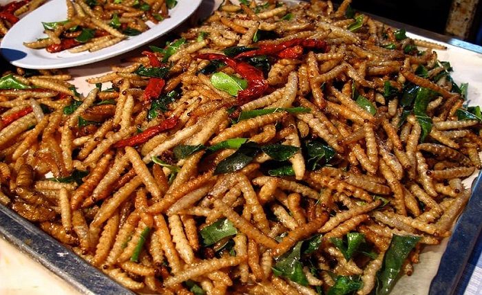 Sâu chít Điện Biên