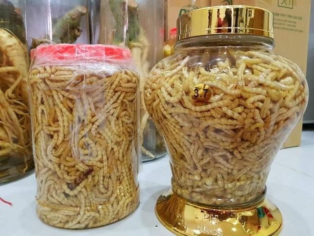 Sâu chít Điện Biên