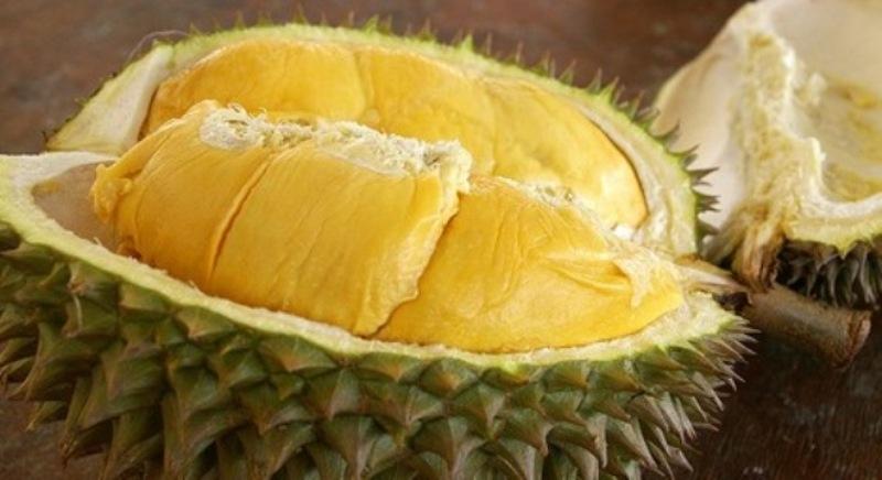 Mùi thơm của sầu riêng sẽ nồng hơn khi trái chín già.