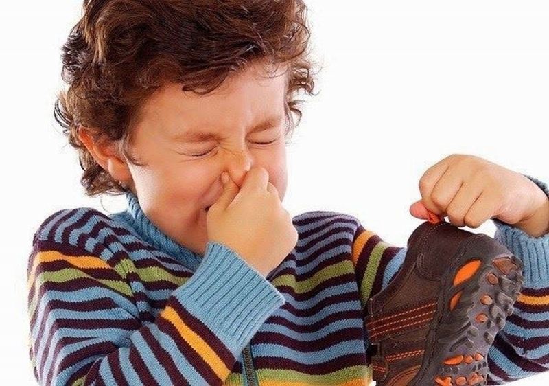 Sầu riêng có mùi hôi của đôi tất sau khi tập gym!?