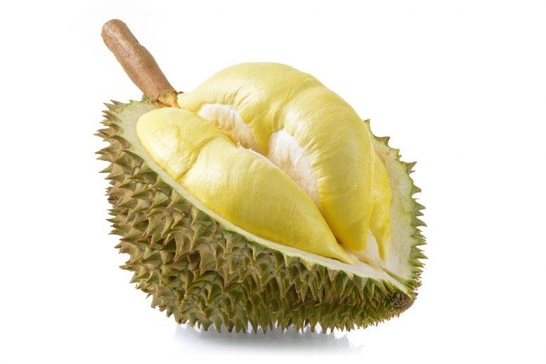 Sầu riêng cũng có lòng nhân ái, yêu thương con người