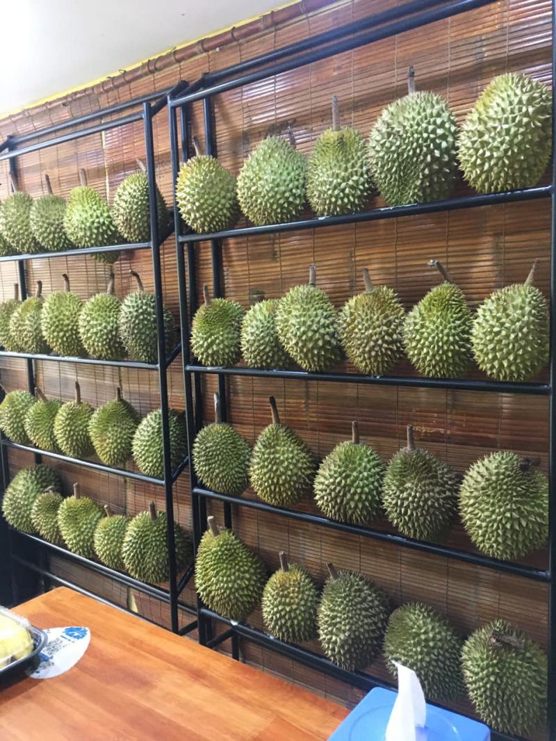 Sầu Riêng Ngon - Durian Ho﻿﻿﻿use