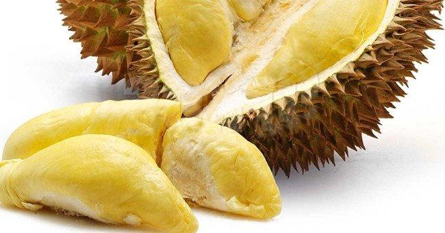 Sầu riêng quả dị hợp nhất quả đất