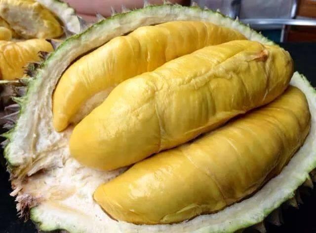 Sầu riêng Ri 6
