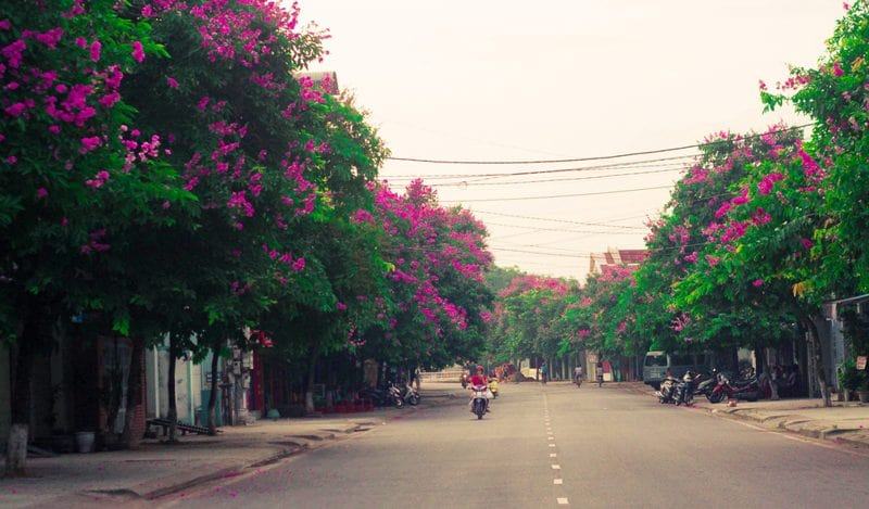 Tím trời chiều, tím cả những ước mơ