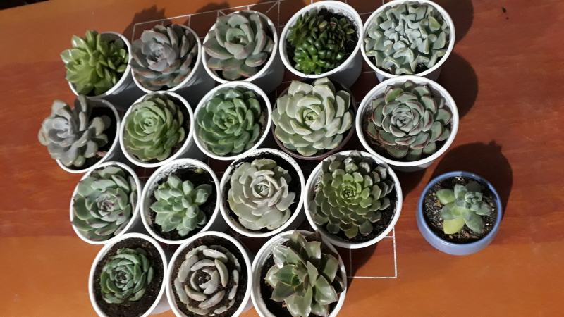 Hãy là một người mạnh mẽ giữa thế gian