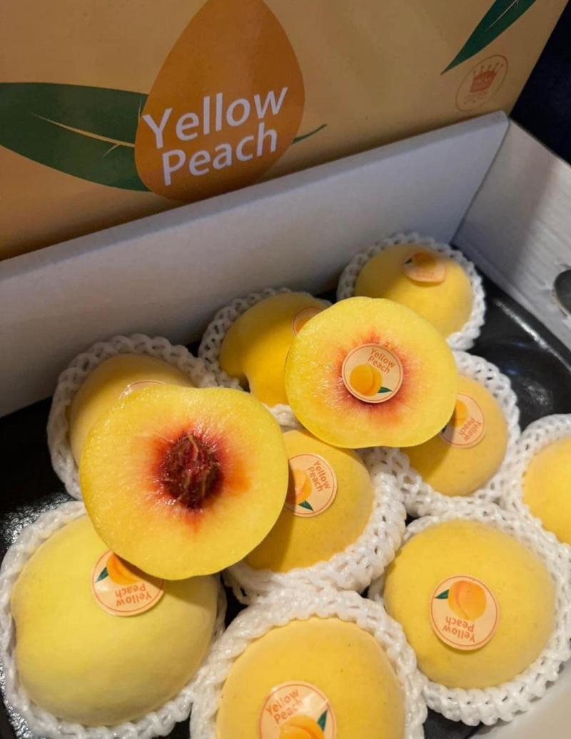 Sena Fruits